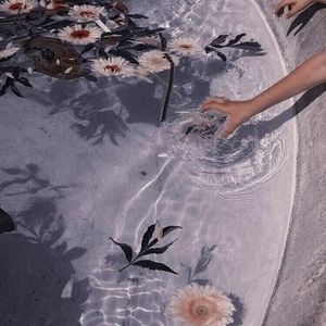 Meet your Posher, Bella